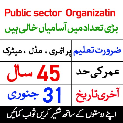 Latest Public Sector Organization Management Jobs in Islamabad 2020