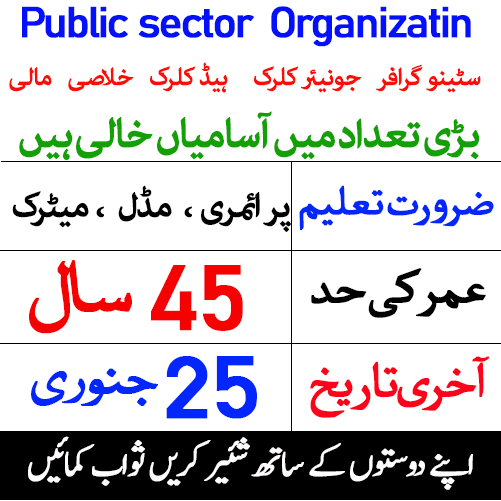 Latest Public Sector Organization Clerical Jobs 2020 in Karachi