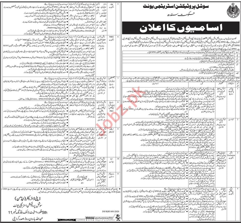 Social Protection Strategy Unit SPSU Jobs 2020