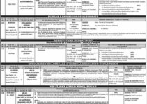 Punjab Public Service Commission PPSC Jobs 2021